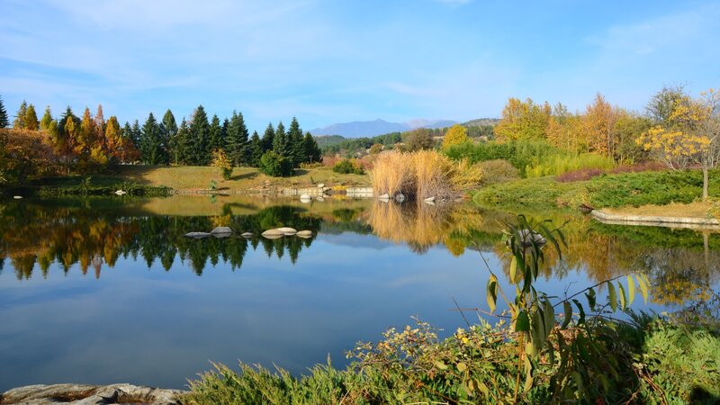 Autumn Pond with Trees — Blue, Serene