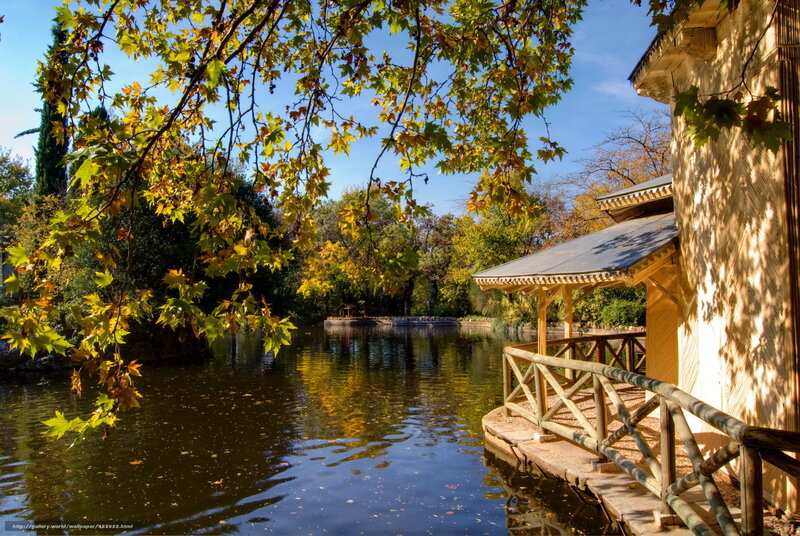 Autumn pond with wooden gazebo