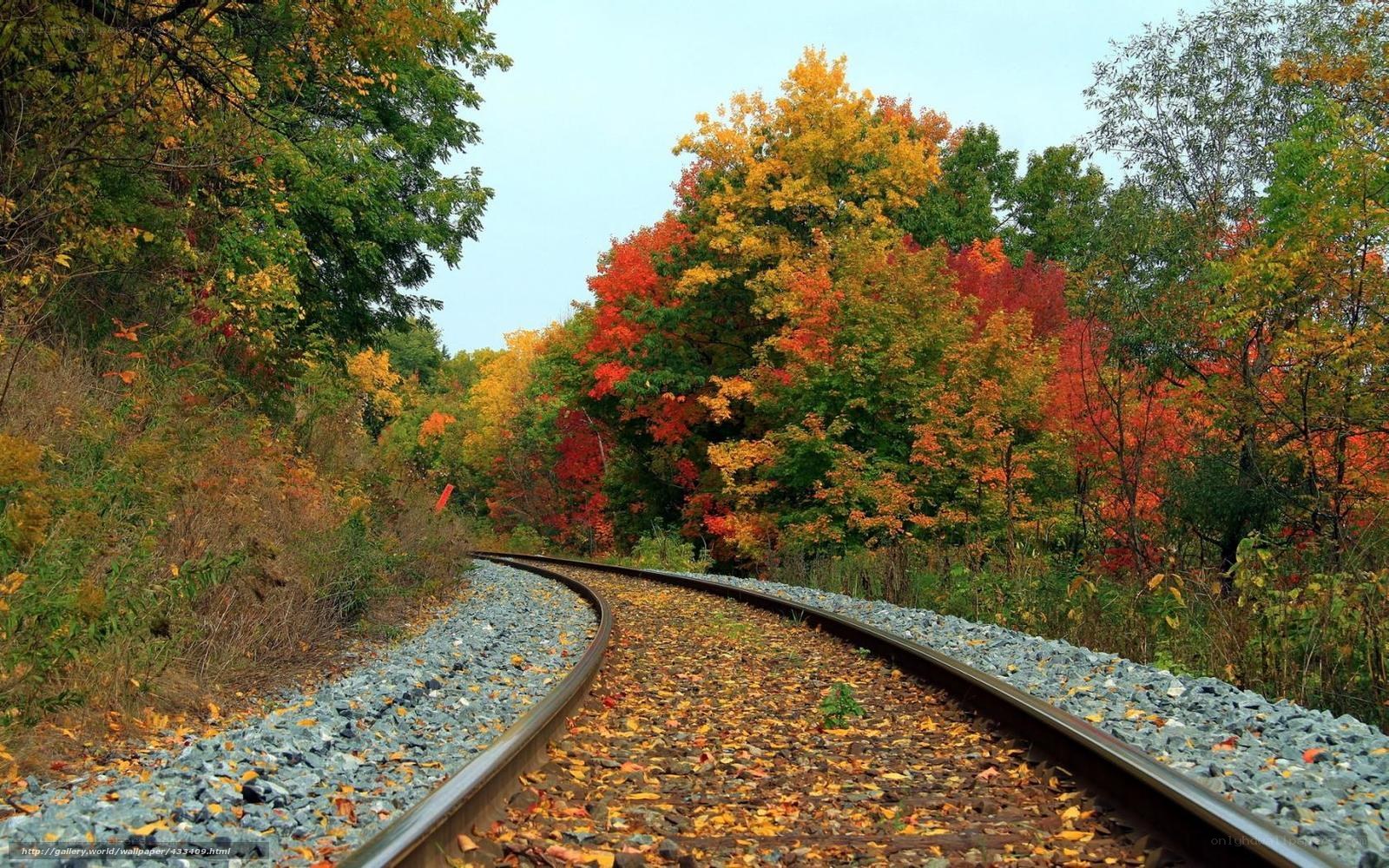 Autumn railway track