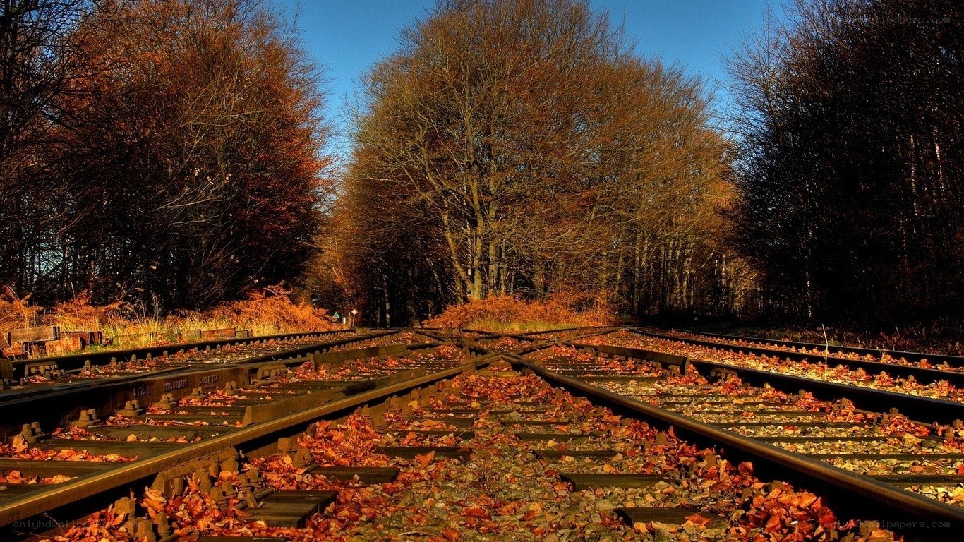 Autumn railway tracks
