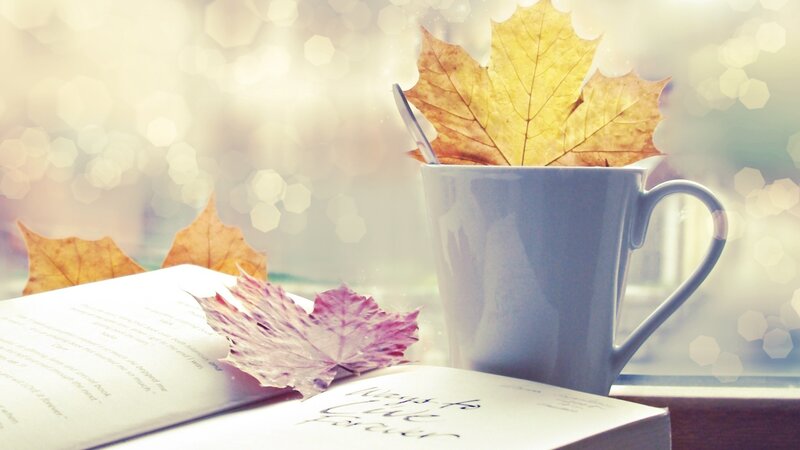 autumn reading by the window
