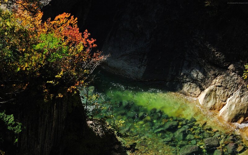 Autumn river in a canyon