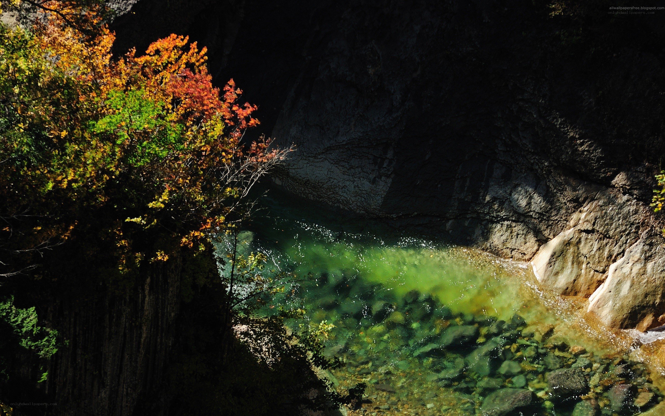 Autumn river in a canyon