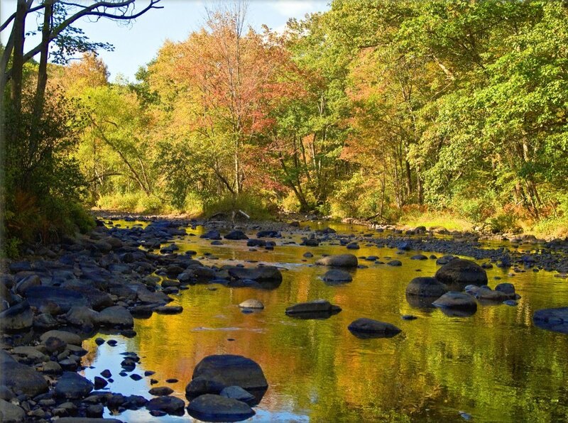 Autumn river in a forest