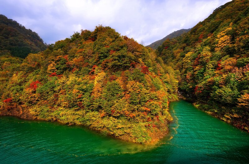 Autumn river in a forested valley