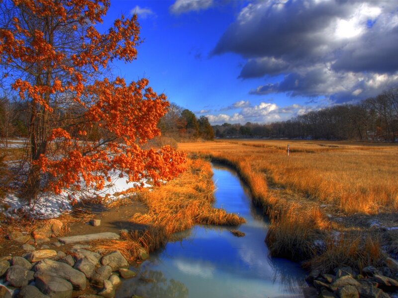 Autumn river in a marsh