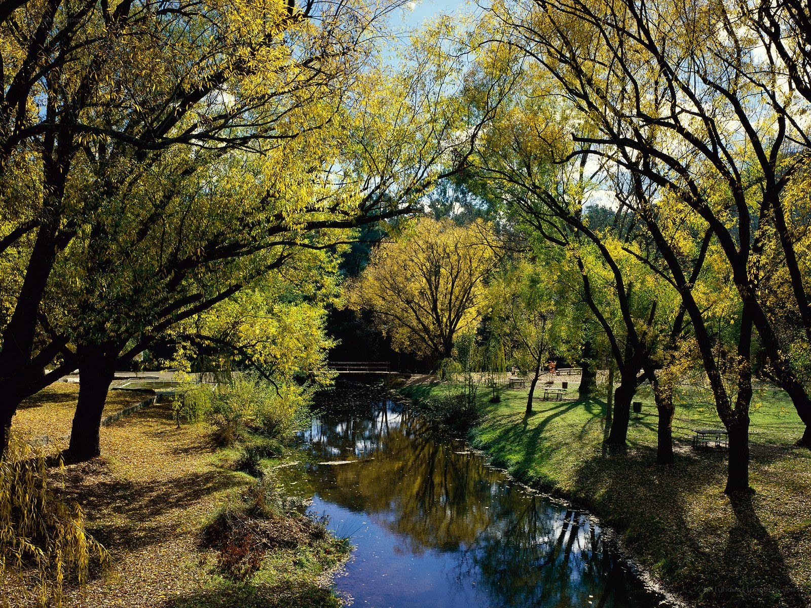 Autumn river in a park
