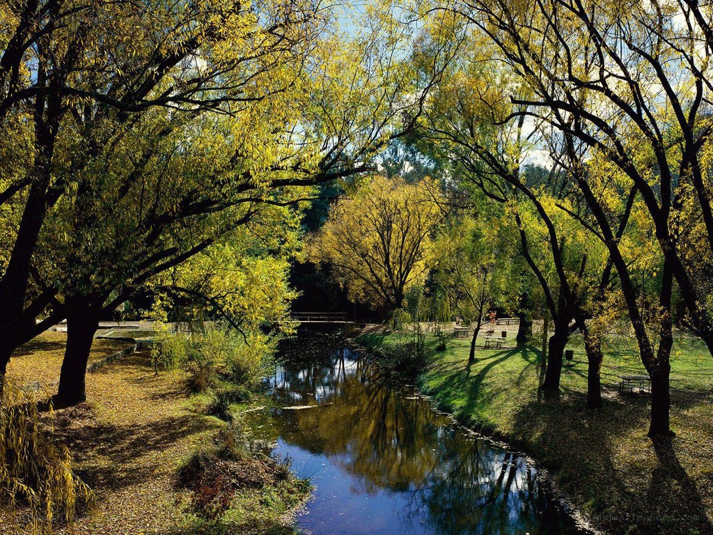 Autumn river in a park