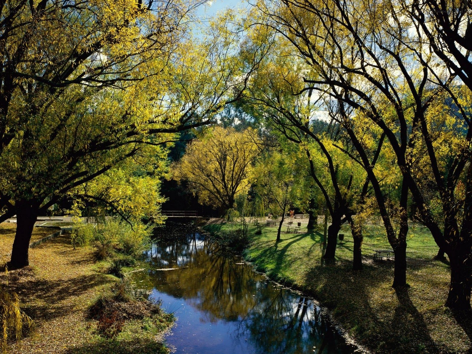Autumn river in a park