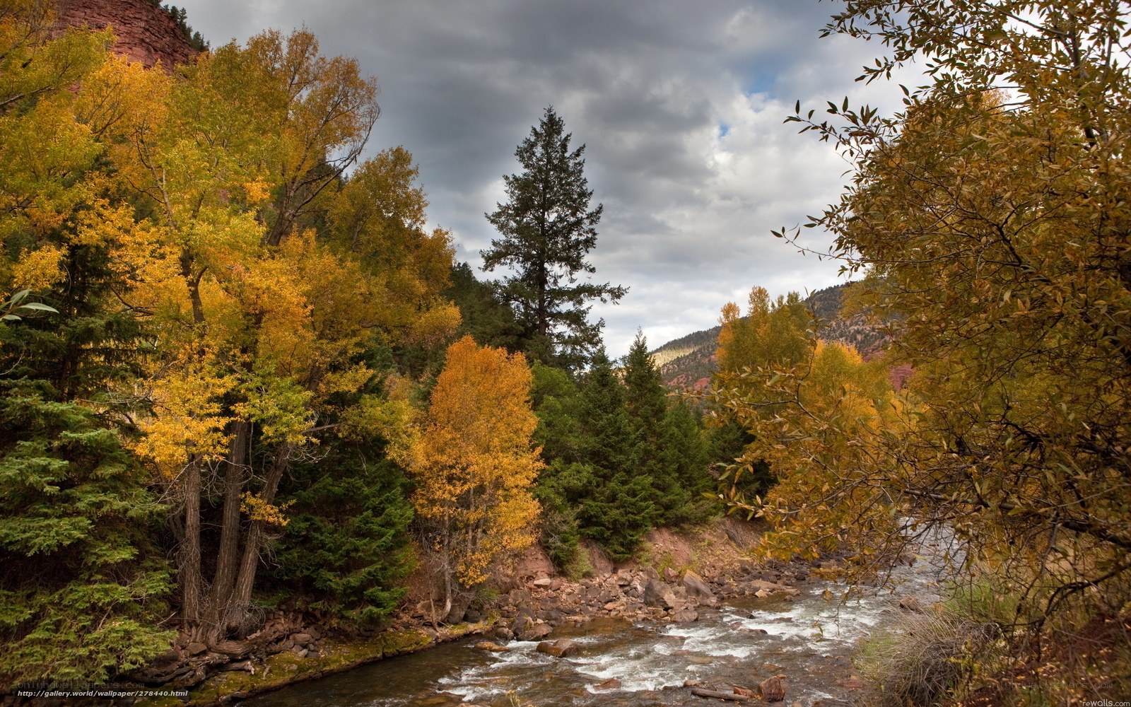 Autumn river in canyon
