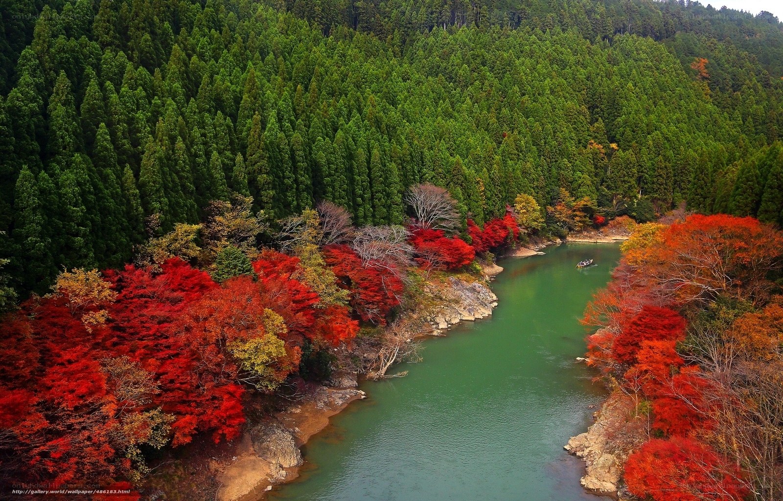 Autumn river in forest