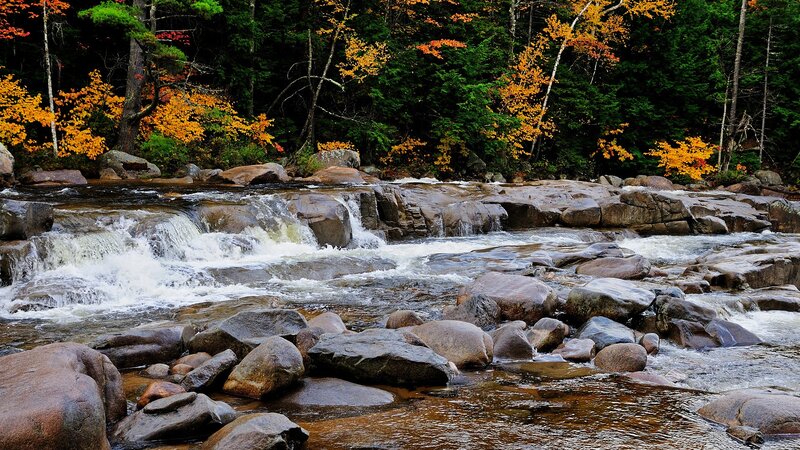 Autumn river in forest