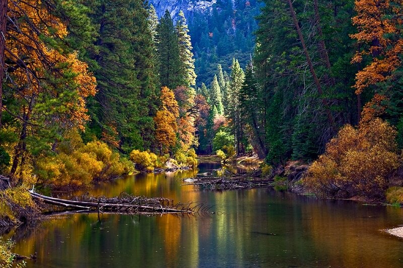 Autumn river in forest