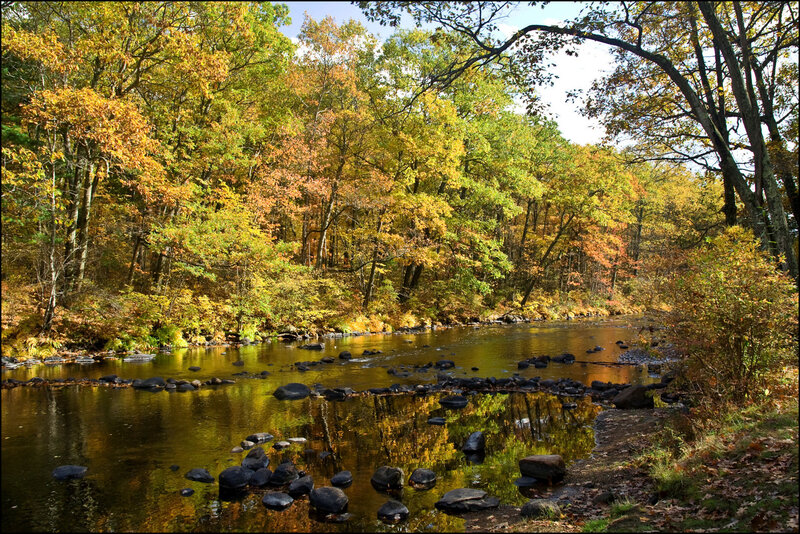 Autumn River in Forest — Yellow