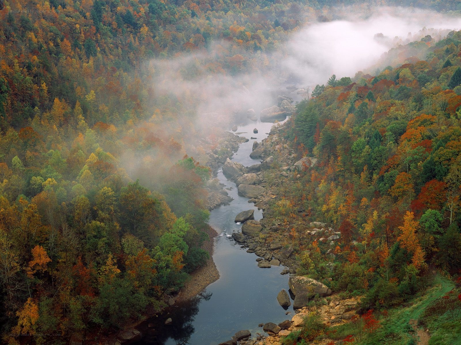 Autumn river in misty forest
