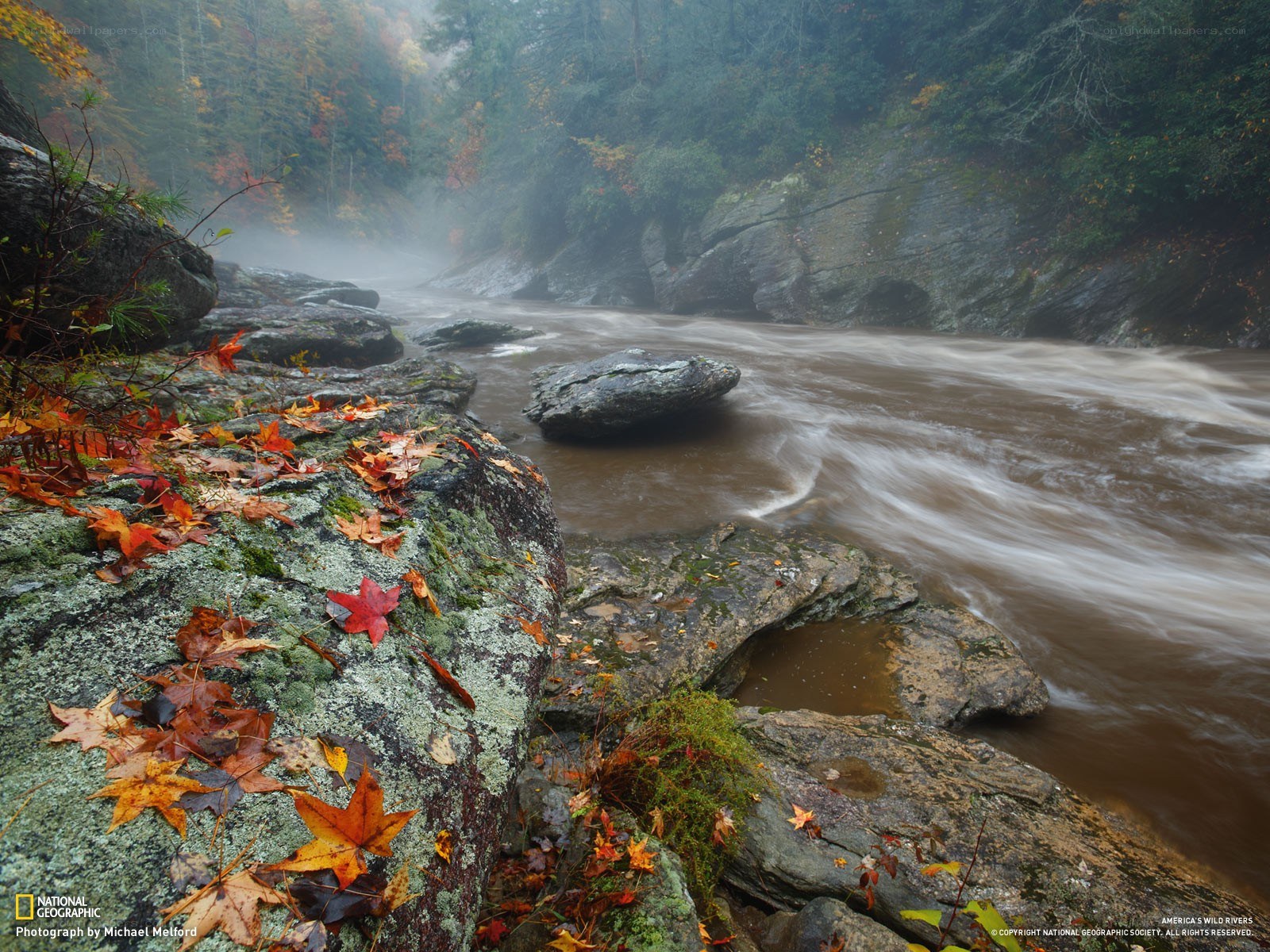 Autumn river in misty forest