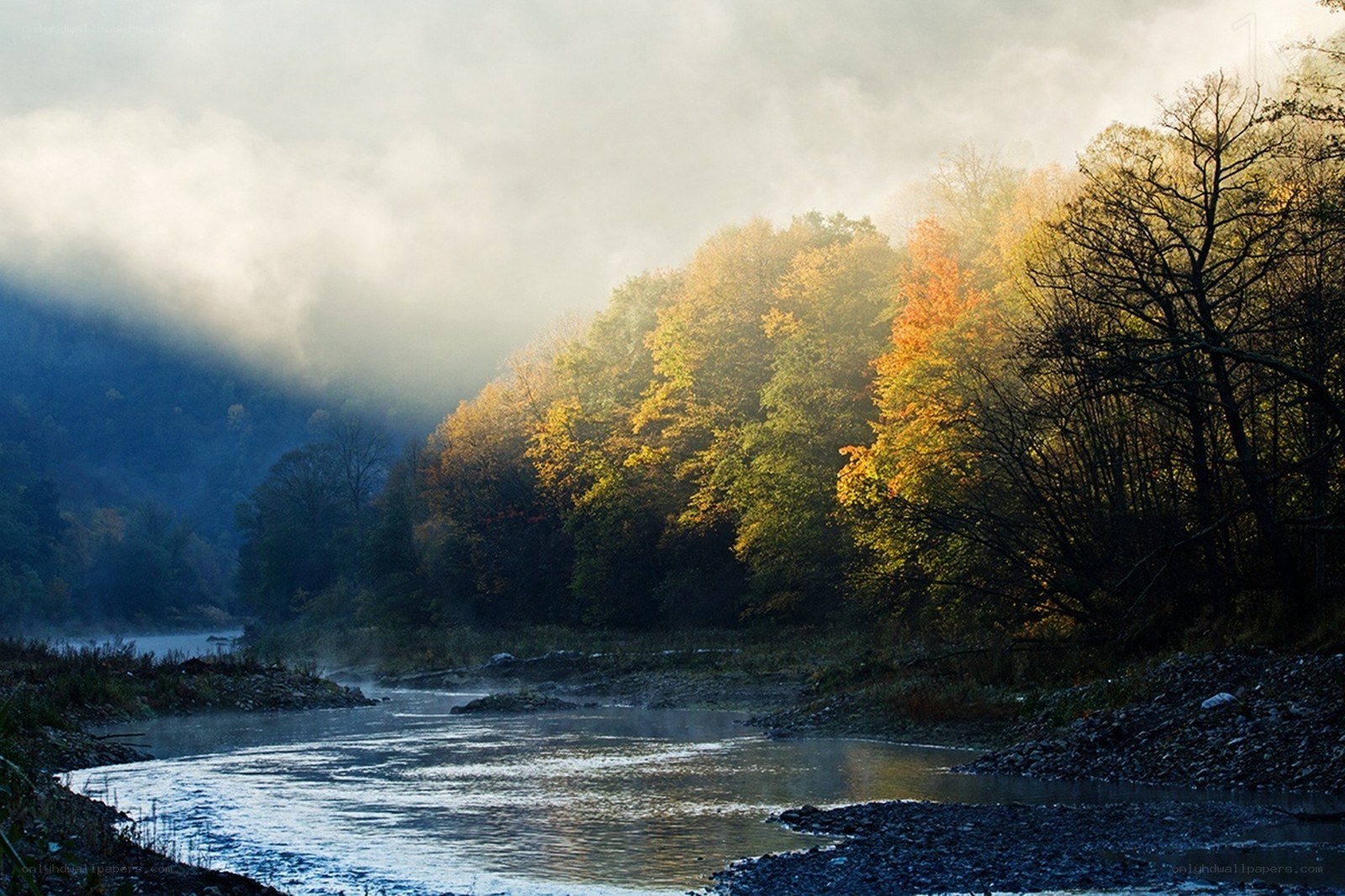 Autumn river in misty forest