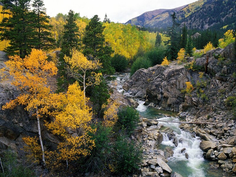 Autumn river in mountain canyon