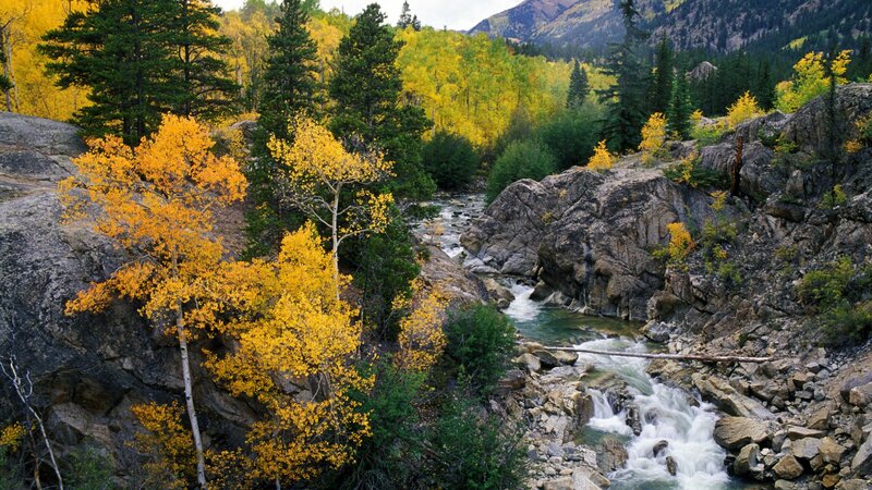 Autumn river in mountain canyon