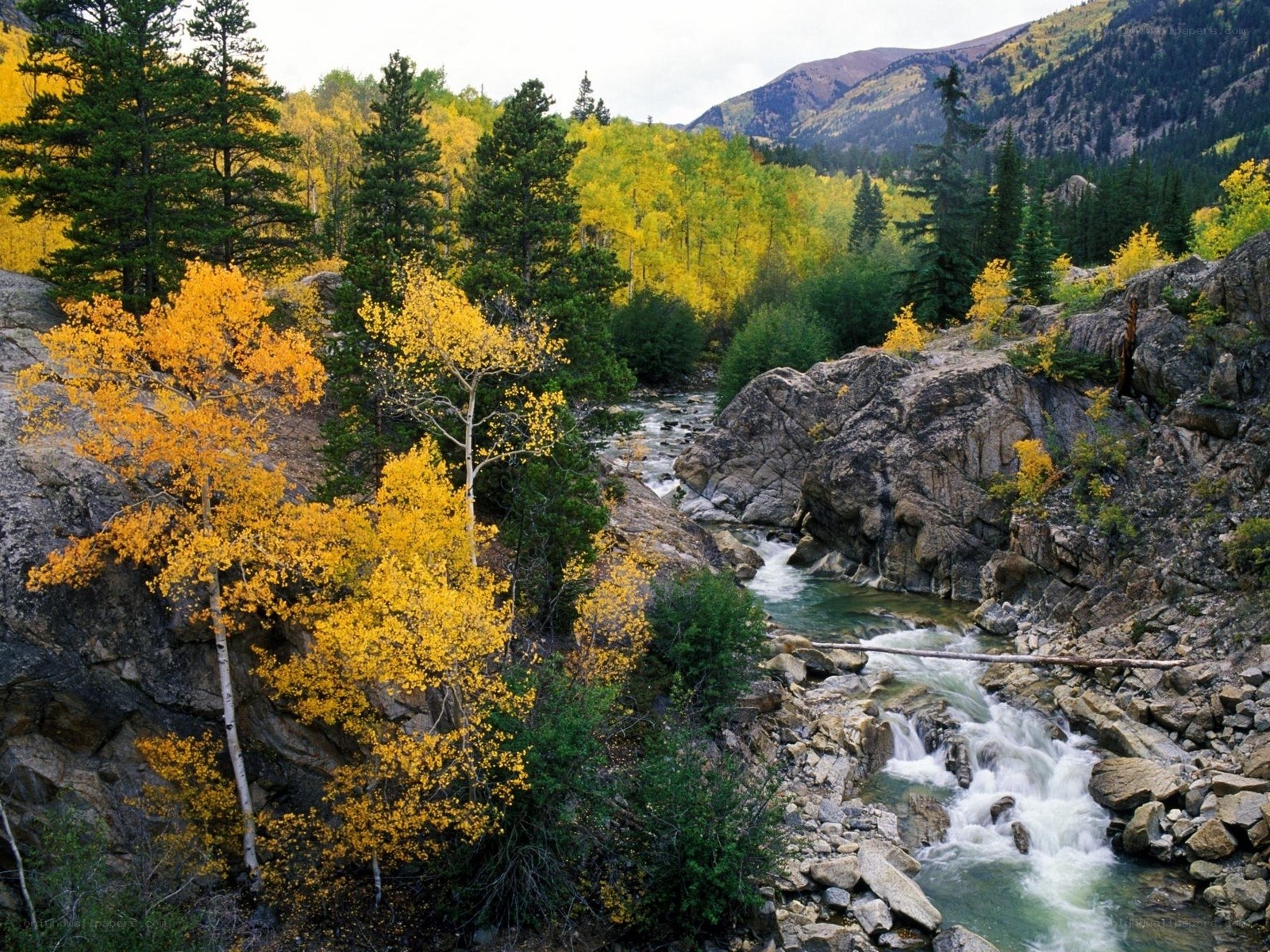 autumn river in mountain canyon