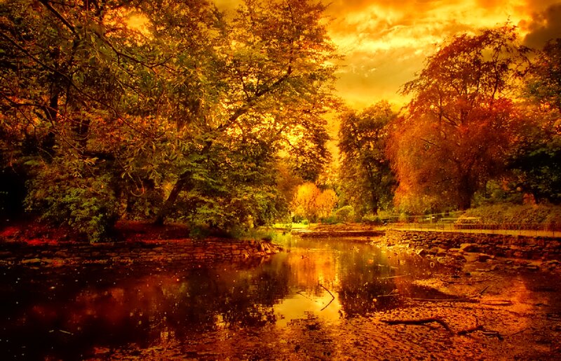 Autumn River in Park — Orange