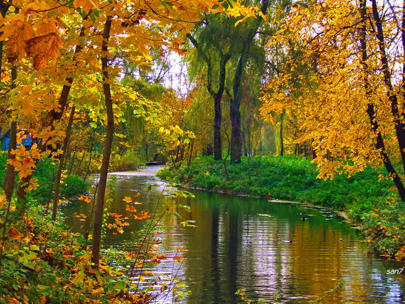 Autumn River in Park