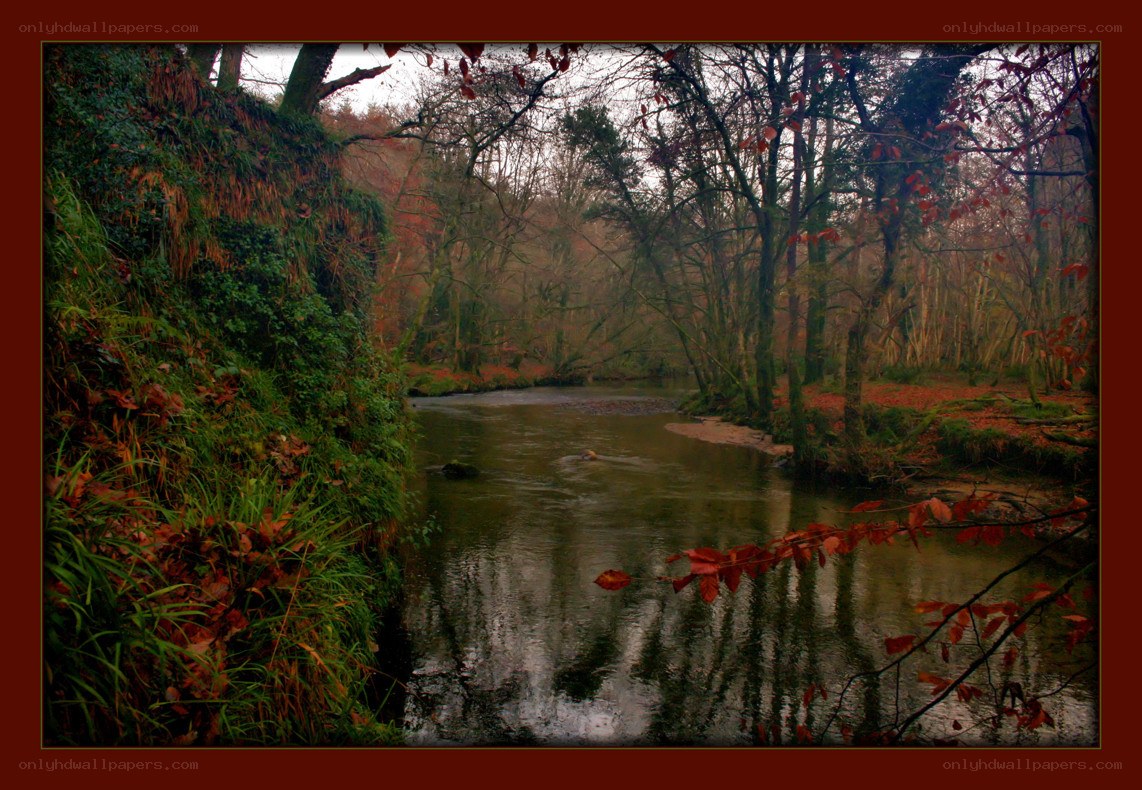 Autumn river in the forest