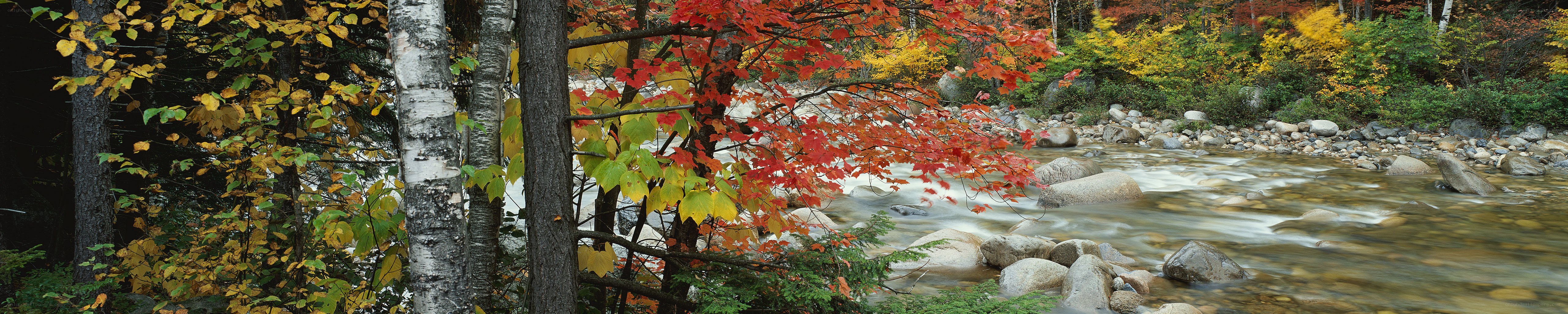 Autumn river in the forest
