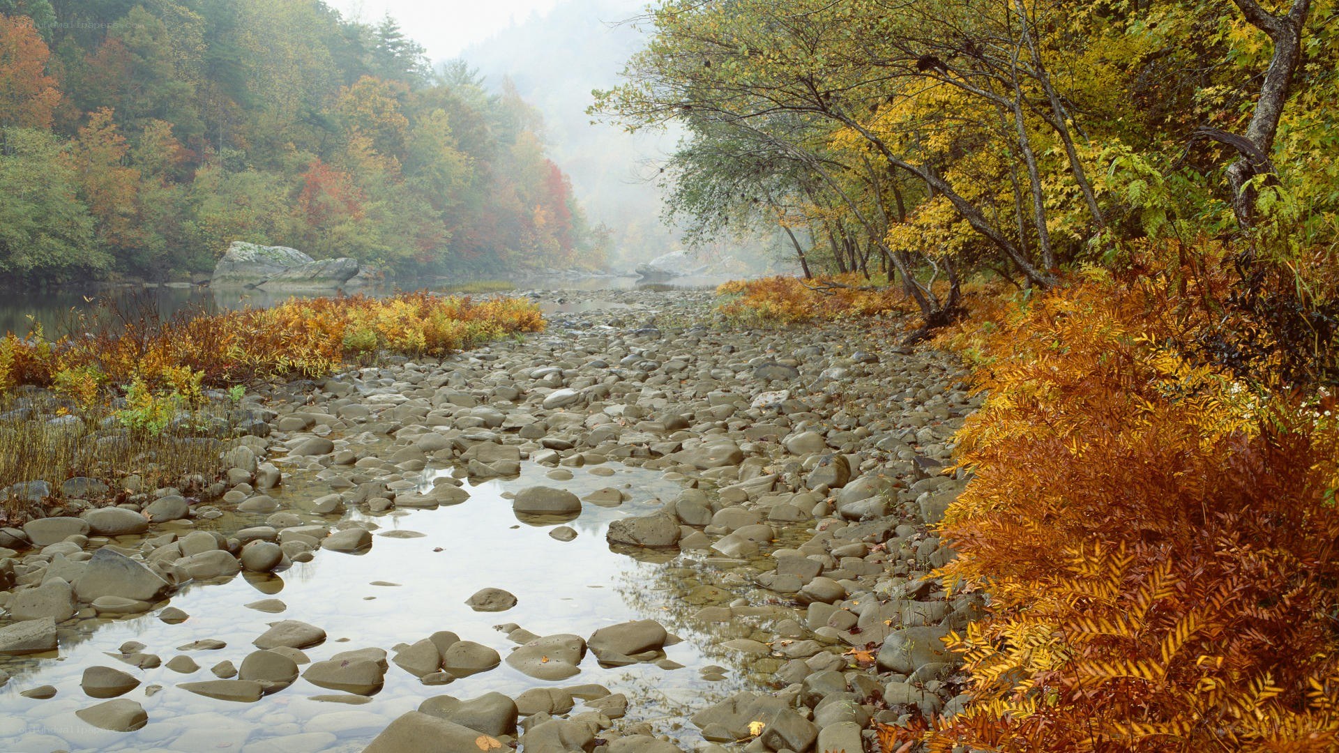 Autumn river in the forest