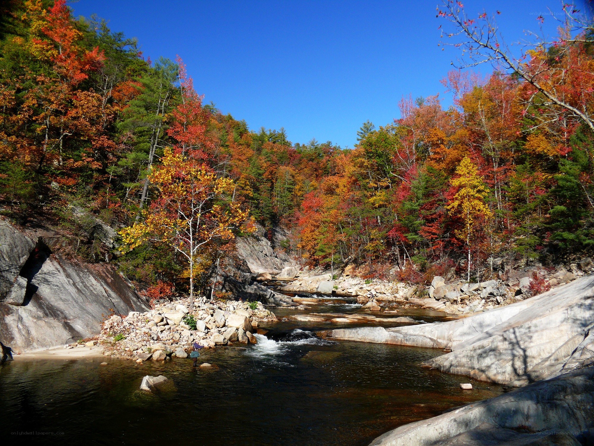 Autumn river in the forest