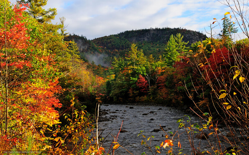 Autumn river in the mountains