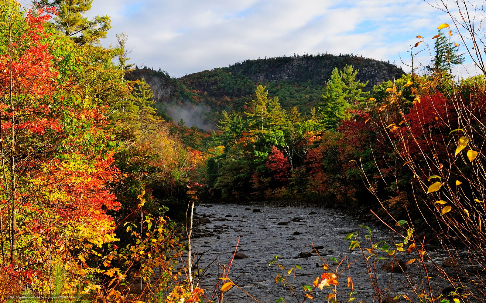 Autumn river in the mountains
