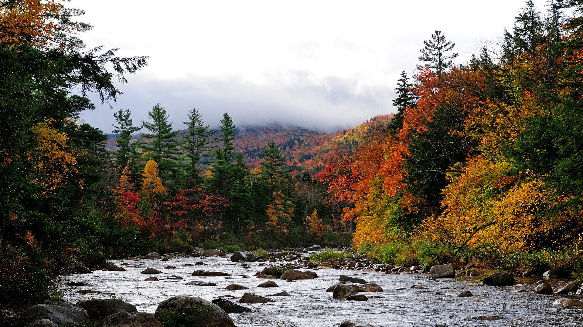 autumn river in the mountains