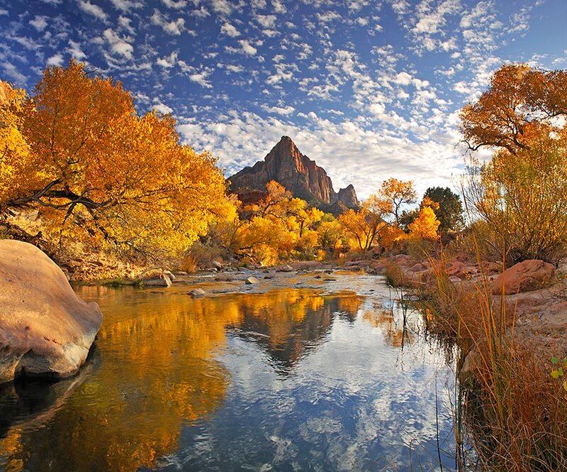 Autumn river in Zion National Park