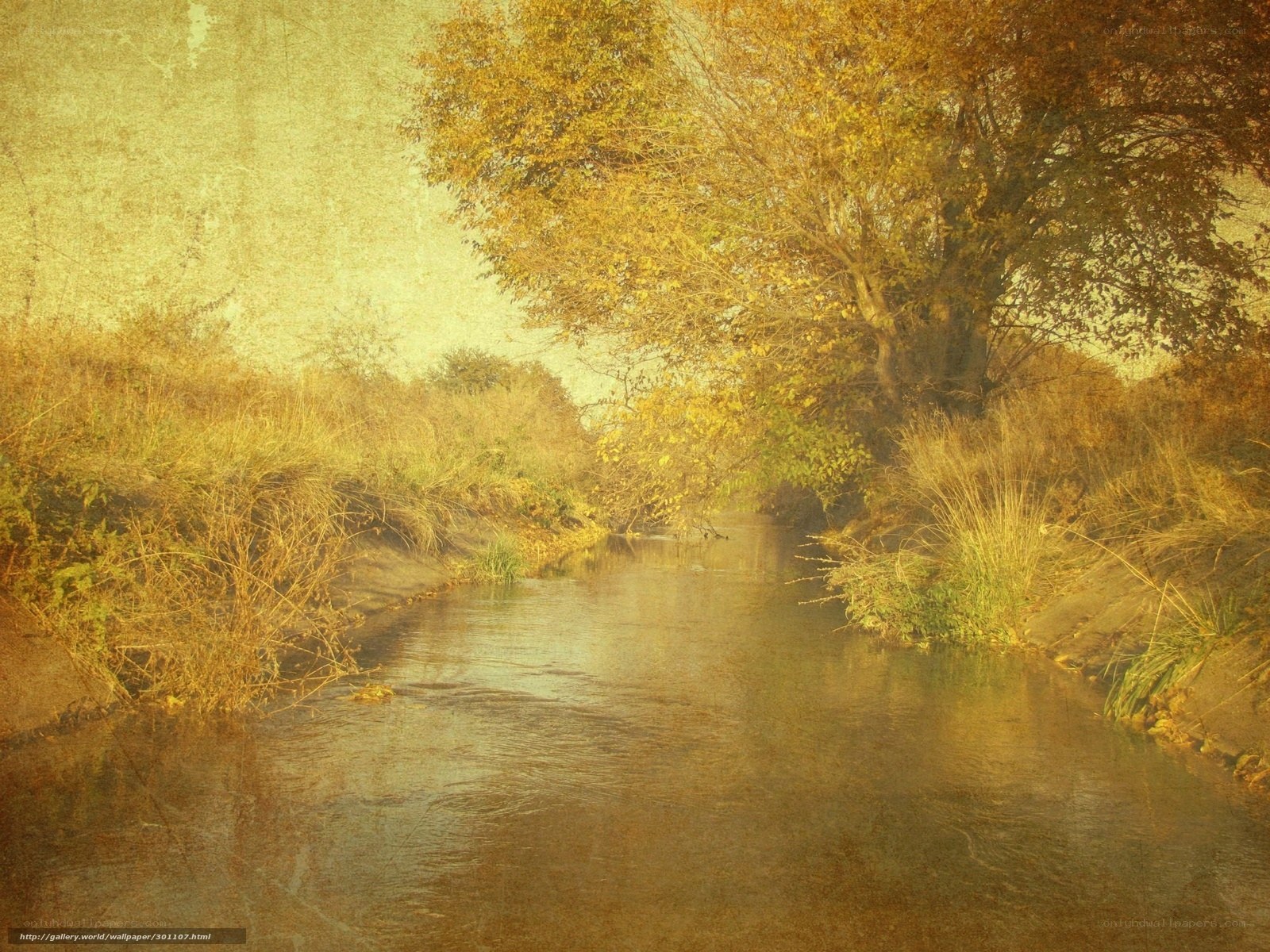 Autumn river landscape