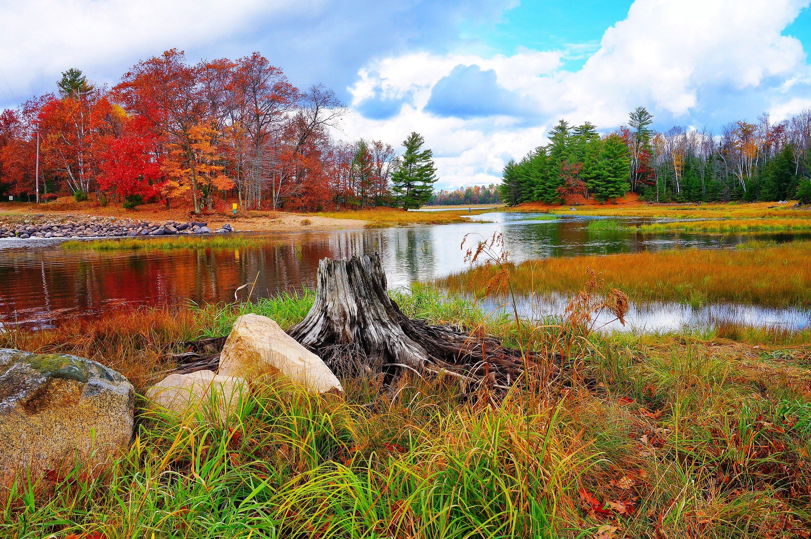 Autumn river landscape