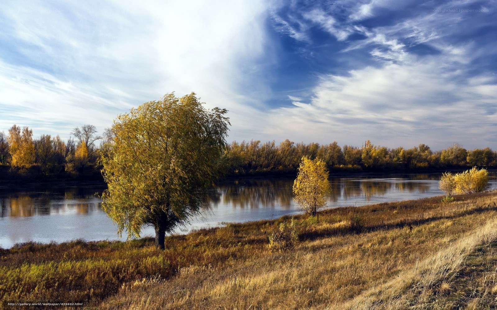 Autumn river landscape