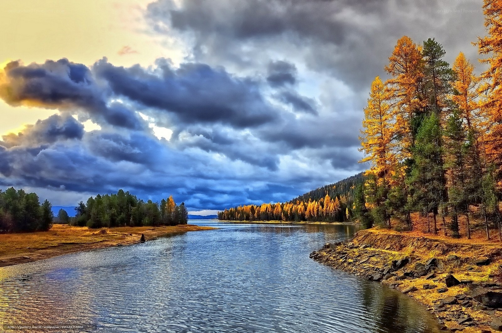 Autumn river landscape
