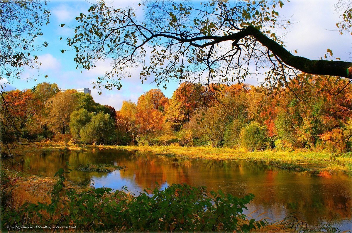 Autumn river landscape