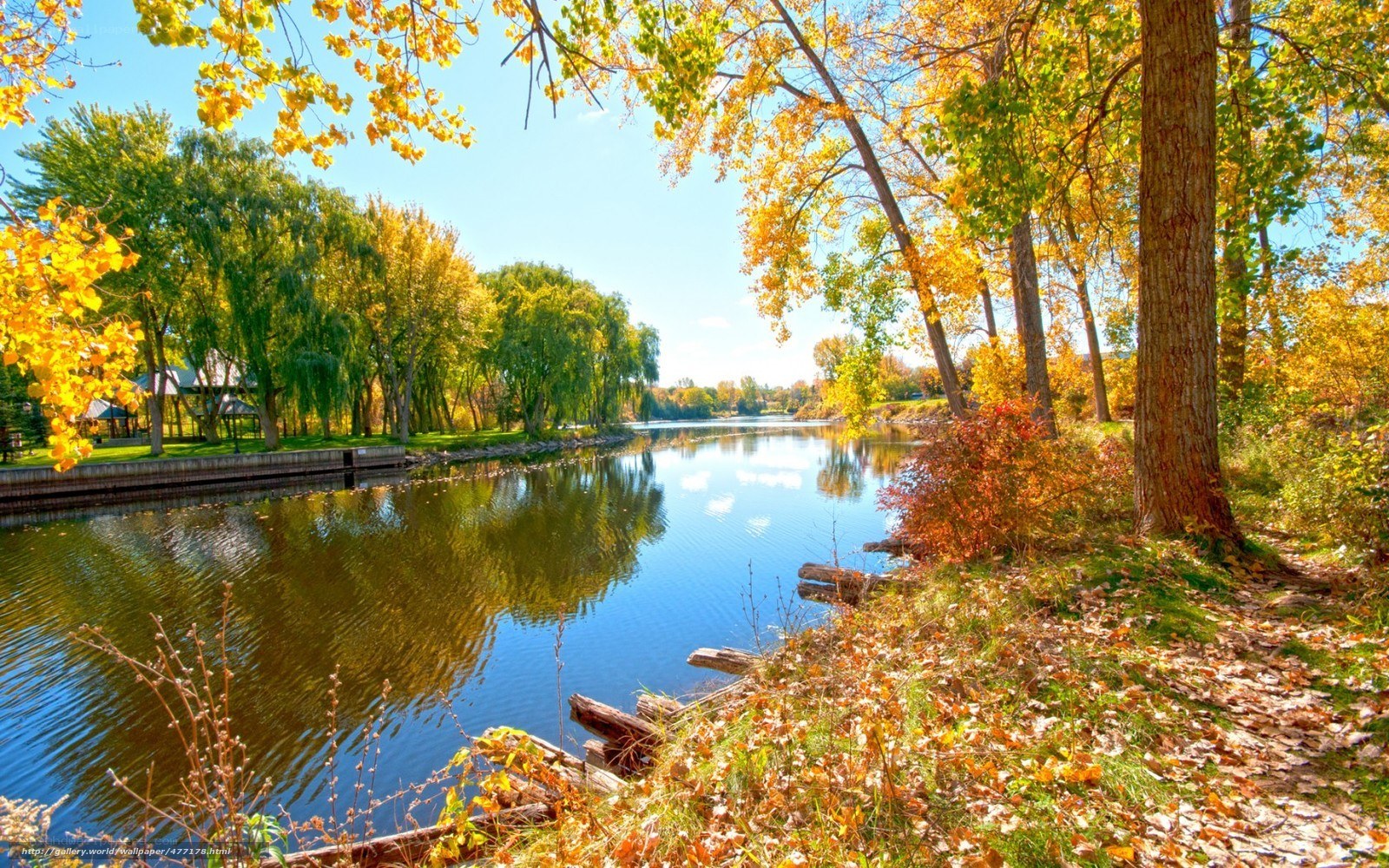Autumn river landscape