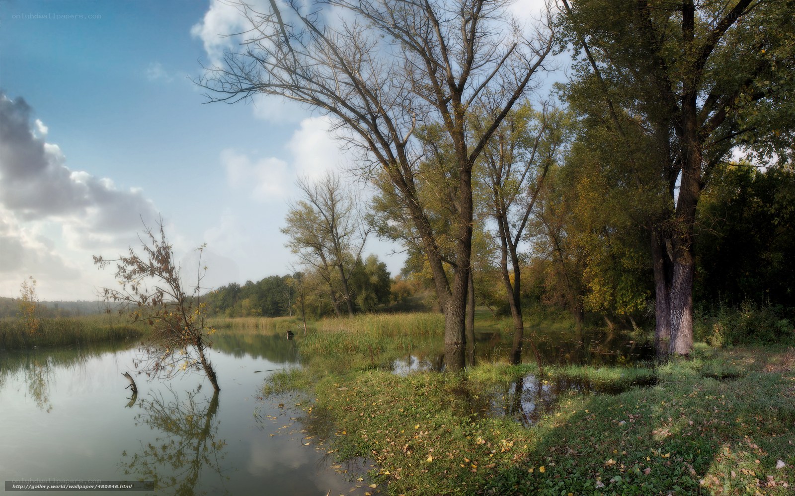 Autumn river landscape