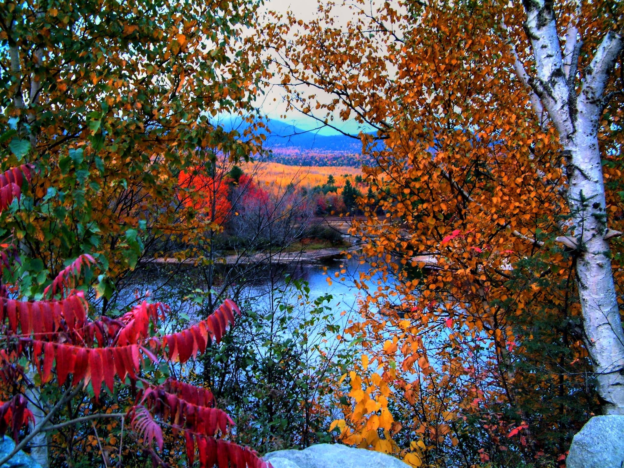 Autumn river landscape