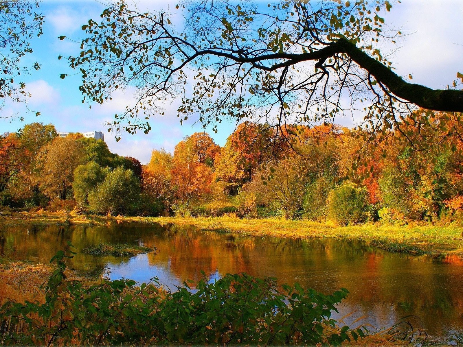 Autumn river landscape