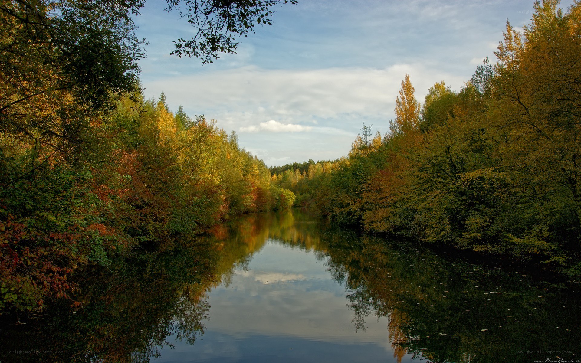 Autumn river landscape