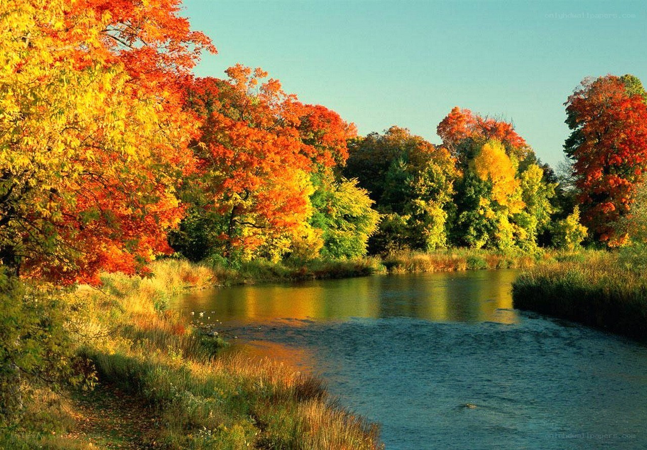 Autumn river landscape