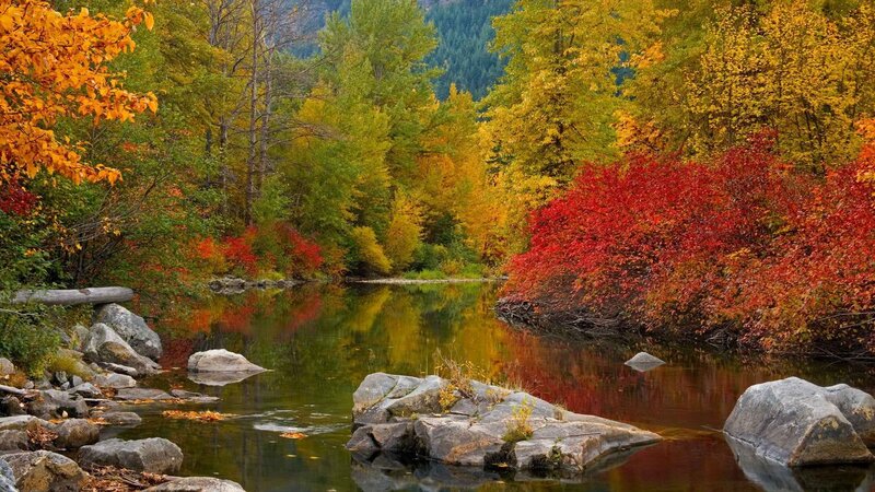 Autumn river landscape