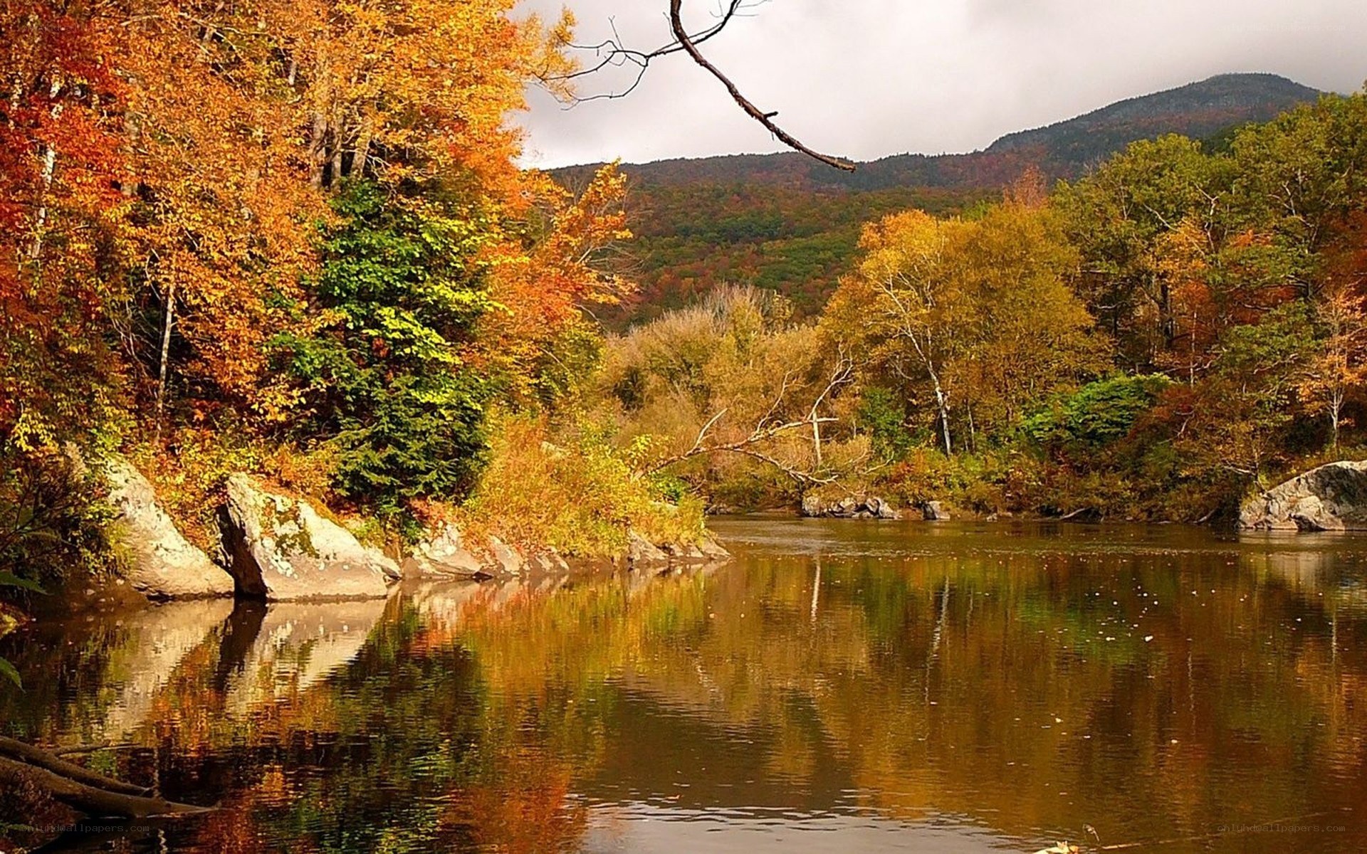 Autumn river landscape