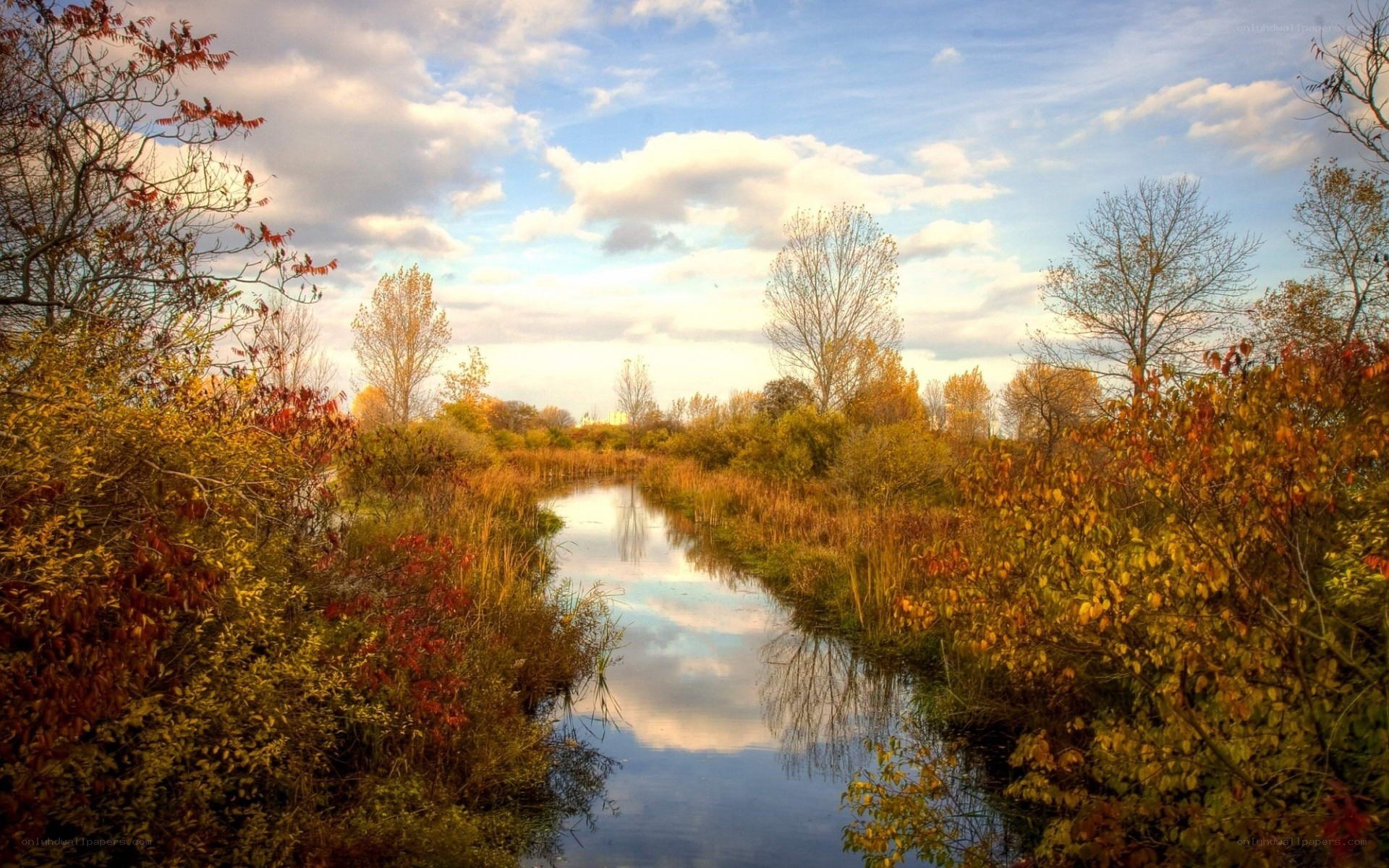 Autumn river landscape