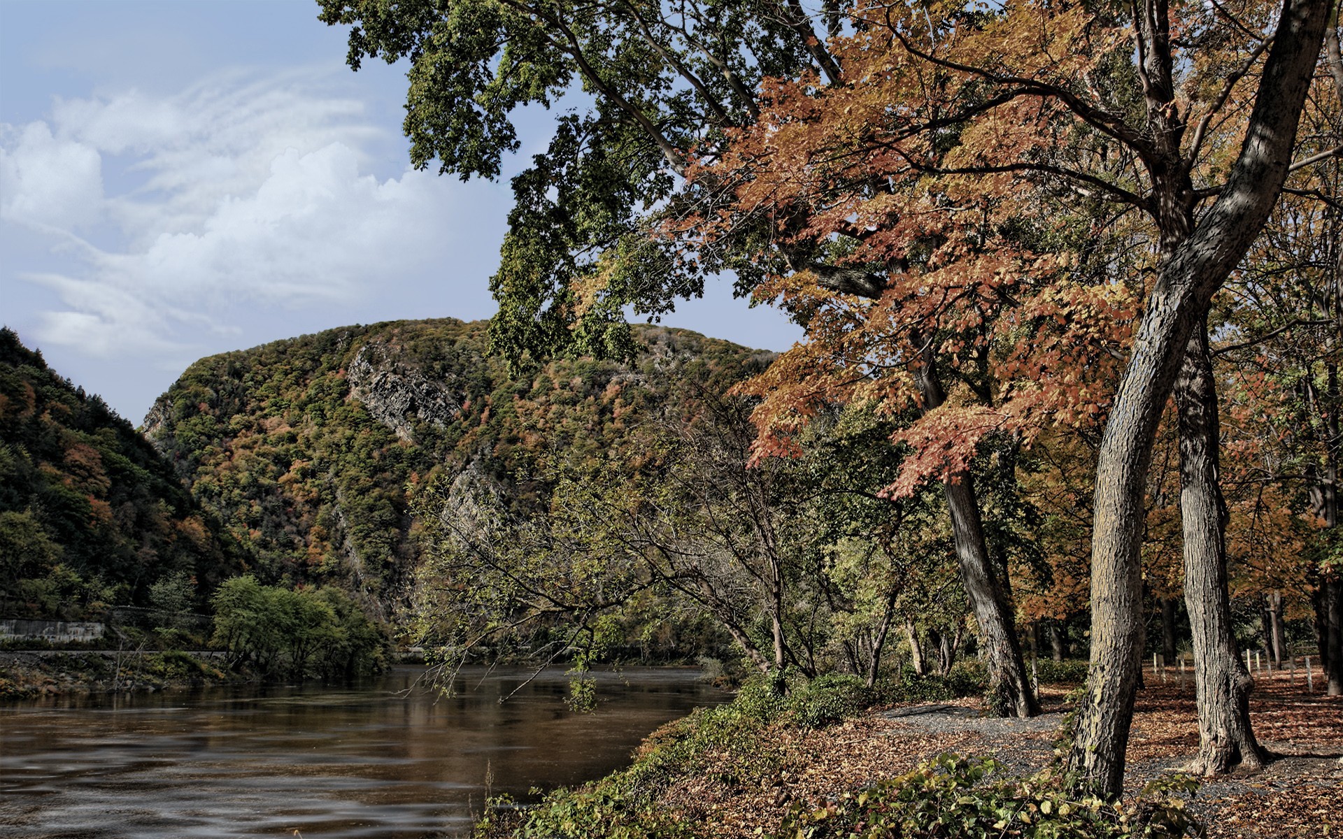 autumn river landscape
