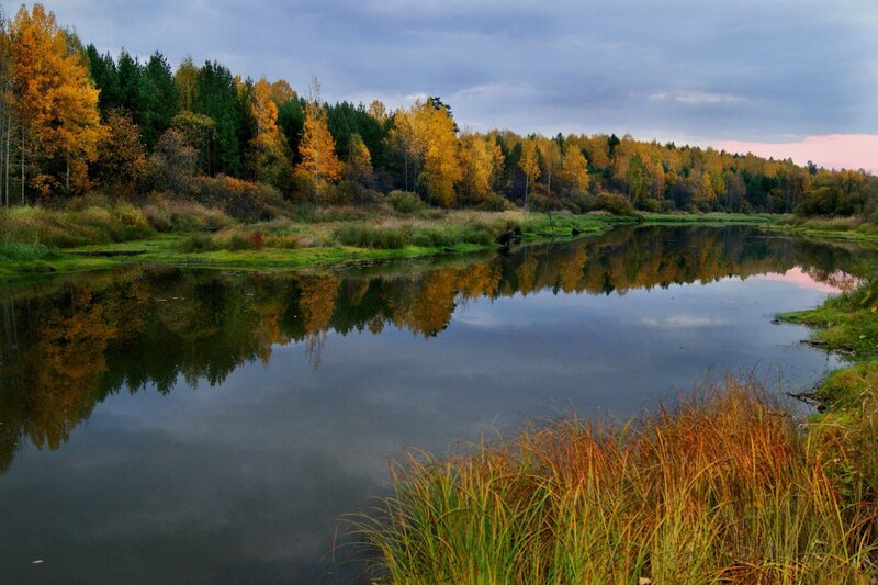 Autumn river landscape